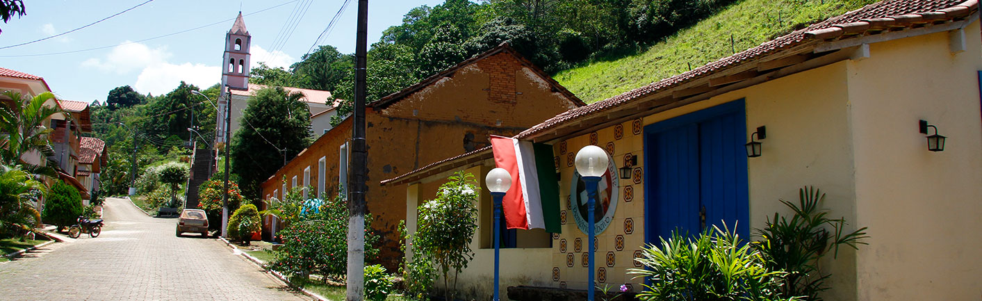 Conillon - Lavoura em João Neiva, ES, O município de João N…